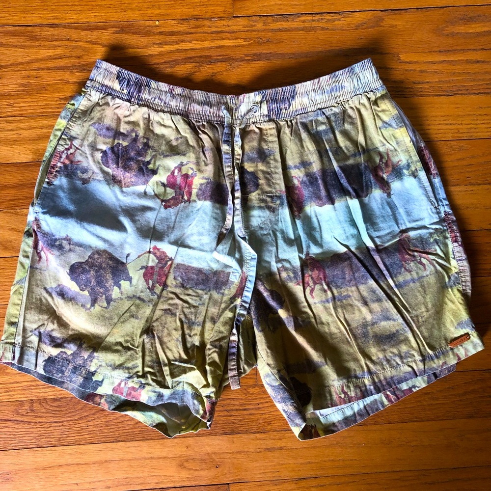 Urban Outfitters Wild West Print Shorts